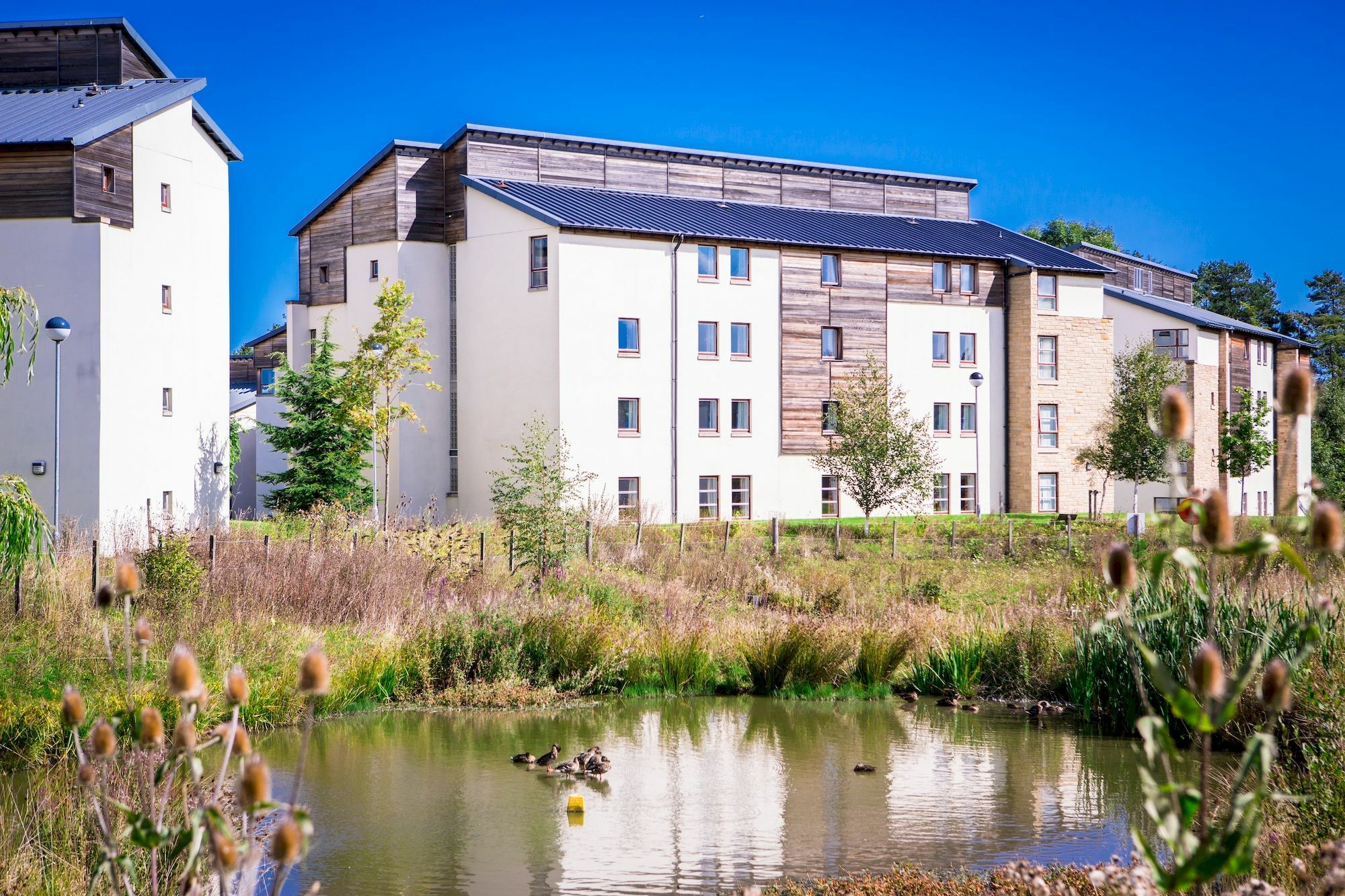 David Russell Apartments - Campus Accommodation St Andrews Buitenkant foto